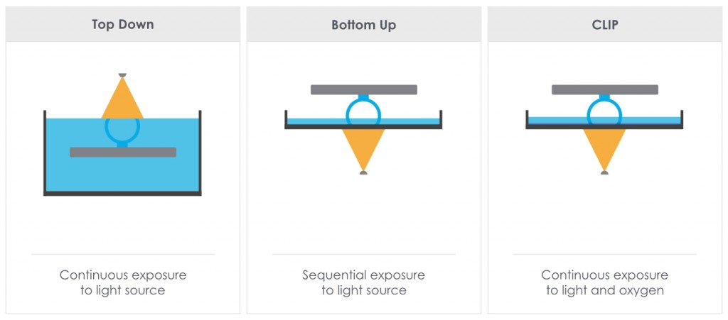 Bottom Up vs Top Down vs CLIP