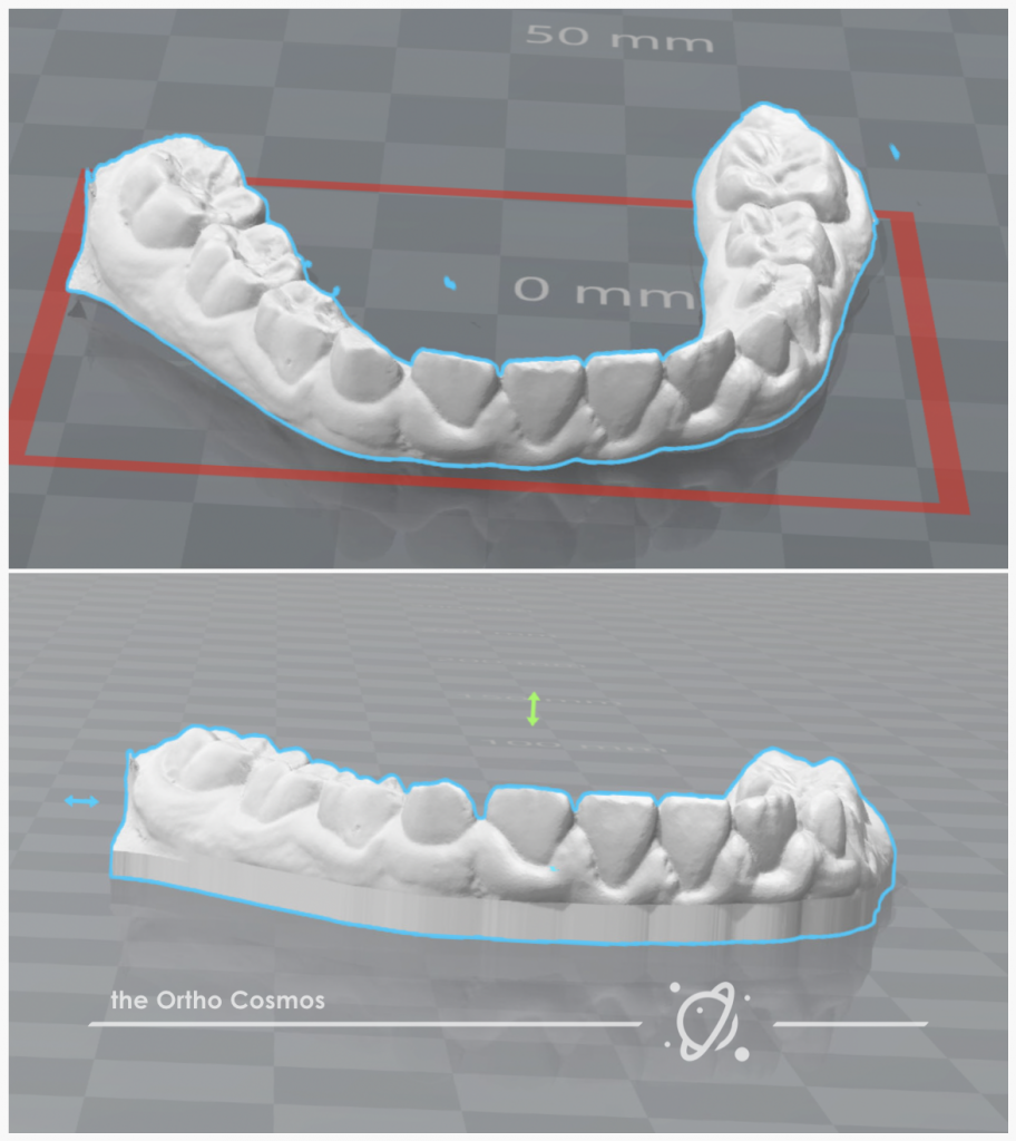 lower arch prints