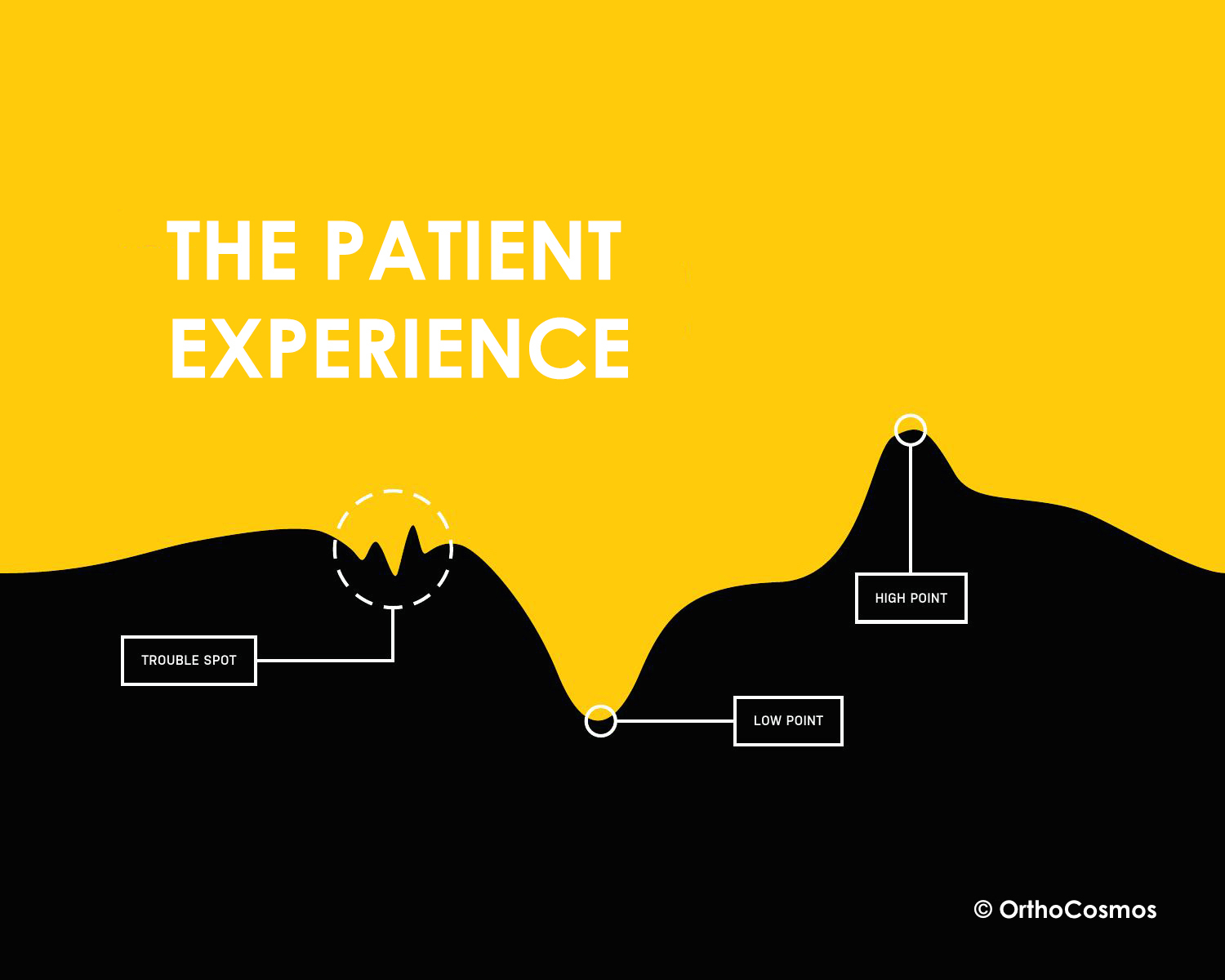 The Patient Experience